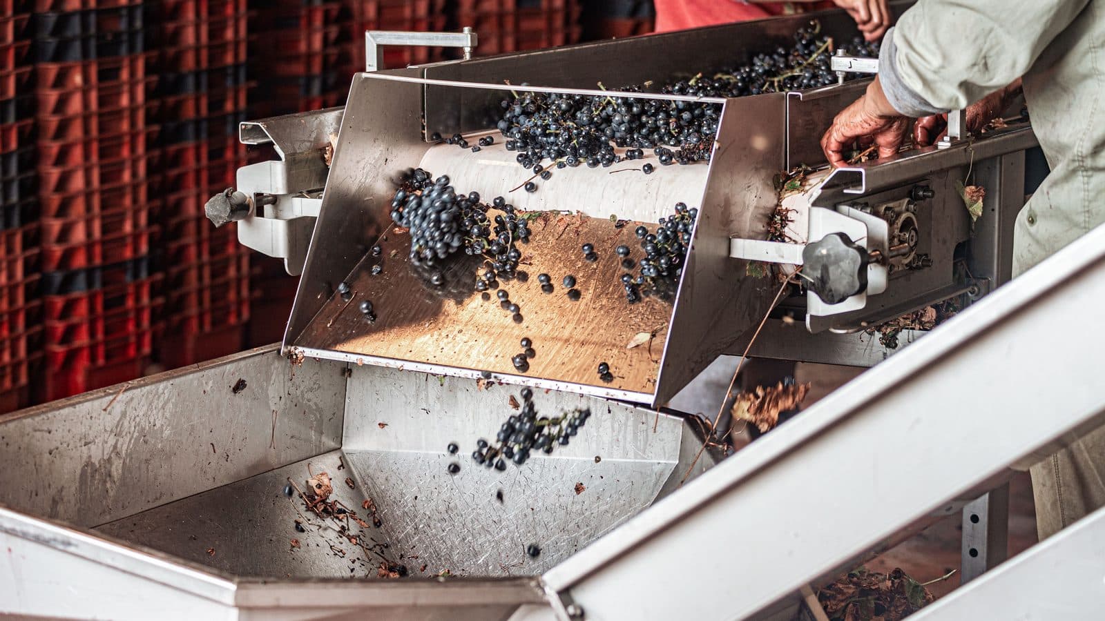 The 5 Stages of an OEM Powder Order: From Brief to Production Run