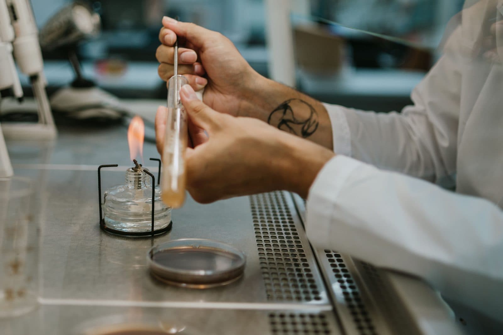 MeSTI, GMP, HACCP or ISO 22000: Which Certification Does Your Product Actually Need?